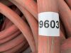 UNRESERVED Pallet of Water Hoses - 3