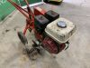 UNRESERVED Maxim Petrol Rotovator - 3