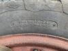 International Tractor Rear Tyres & Rims - 6