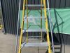 UNRESERVED Clow 1.68M 5 Rung Fibreglass Platform Ladder - 5