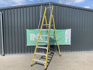 UNRESERVED Clow 1.96M 6 Rung Fibreglass Platform Ladder