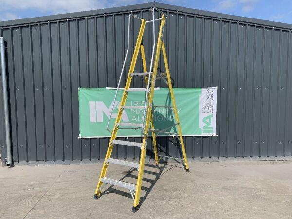 UNRESERVED Clow 1.96M 6 Rung Fibreglass Platfrom Ladder