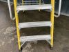 UNRESERVED Clow 1.68M 5 Rung Fibreglass Platform Ladder - 4