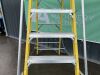 UNRESERVED Clow 1.68M 5 Rung Fibreglass Platform Ladder - 5