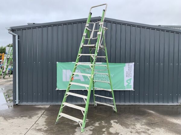 UNRESERVED Little Giant 3.8M 7 Rung Platform Ladder c/w Safety Cage