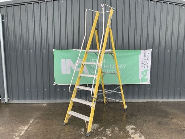 UNRESERVED Clow 1.68M 5 Rung Fibreglass Platform Ladder