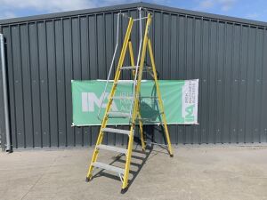 UNRESERVED Clow 1.96M 6 Rung Fibreglass Platfrom Ladder