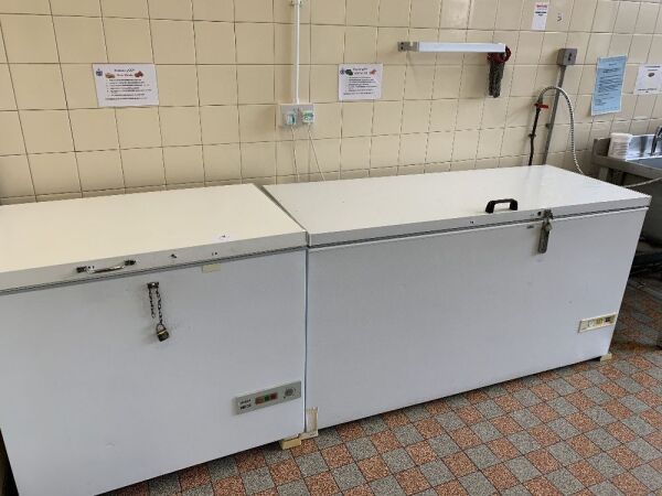 2 x Chest Freezers Bosch & Other