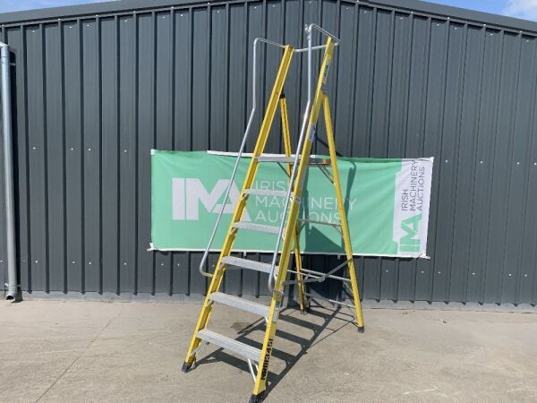 UNRESERVED Clow 1.68M 5 Rung Fibreglass Platform Ladder