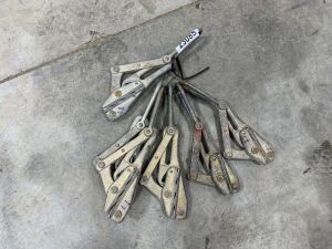 UNRESERVED 6 x Various Lifting Clamps