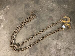 Dual Hook Lifting Chains
