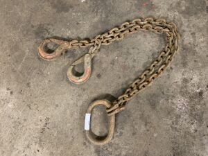 2 Leg Lifting Chain