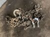 Large Chains c/w Shackle