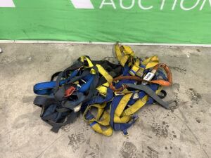 5x 3 Point Safety Harness