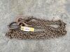 4.2T 3Mtr Lifting Chain c/w 2 Brothers/Hooks