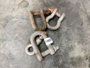 UNRESERVED 3x Shackles