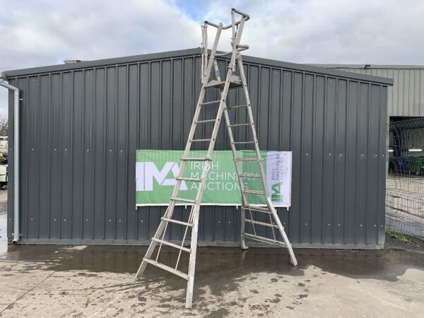 UNRESERVED Stradbally 7-11 Step Podium Ladder