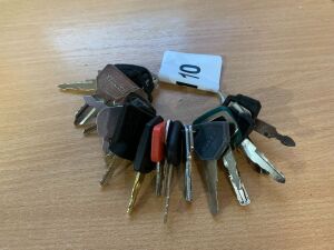 Large Set Of Various Machinery Keys - Yanmar, JCB, Volvo, Takeuchi, CAT & More