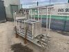 UNRESERVED Stillage of Aluminium Scaffolding - 2